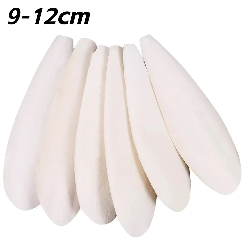 Cuttlefish Bone Calcium Supplement