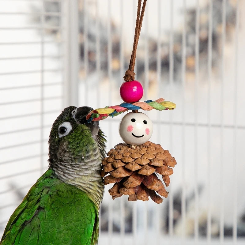 Natural Pinecone Bird Chew Toy