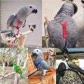 Parrot Harness & Bird Leash with Training Rope