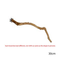 Natural Branch Standing Perch