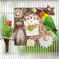 Cardboard Foraging Toy for Parrots & Parakeets