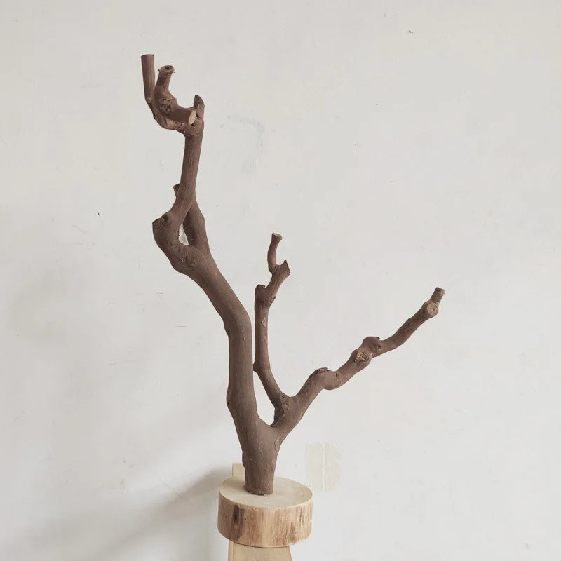 Handmade Wood Branch Display Stand with Tray
