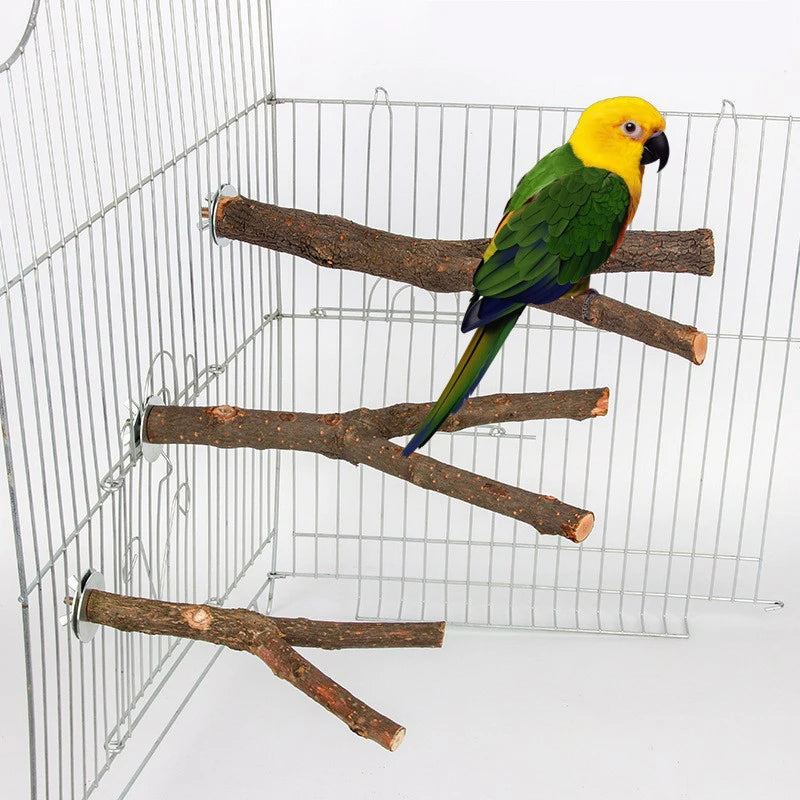 Natural Wood Bird Perch - Tree Branch Stand for Cages