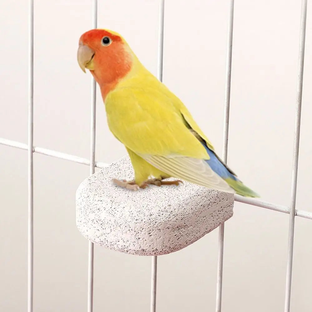 Non-Slip Parrot Standing Pole