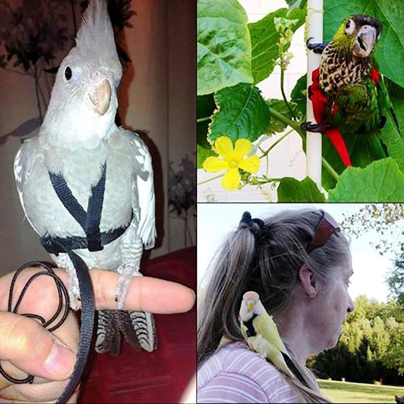 Parrot Harness & Bird Leash with Training Rope