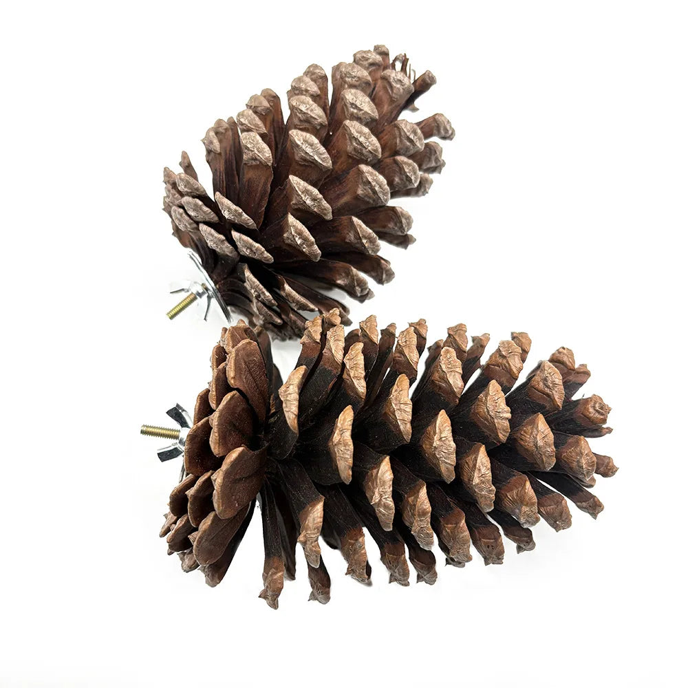 Natural Pinecone Bird Toy