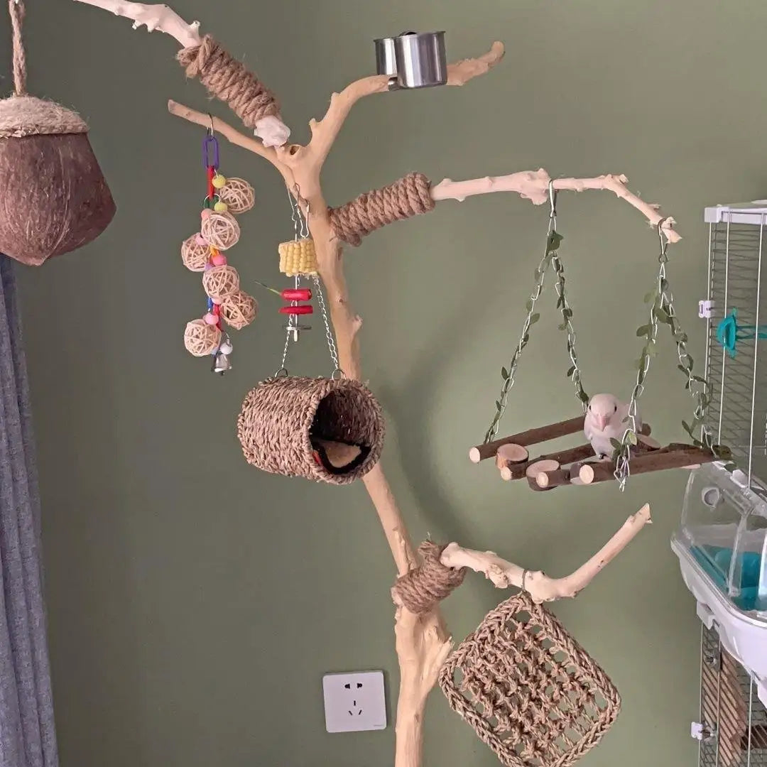 Wooden Parrot Branch Stand - Floor Mounted