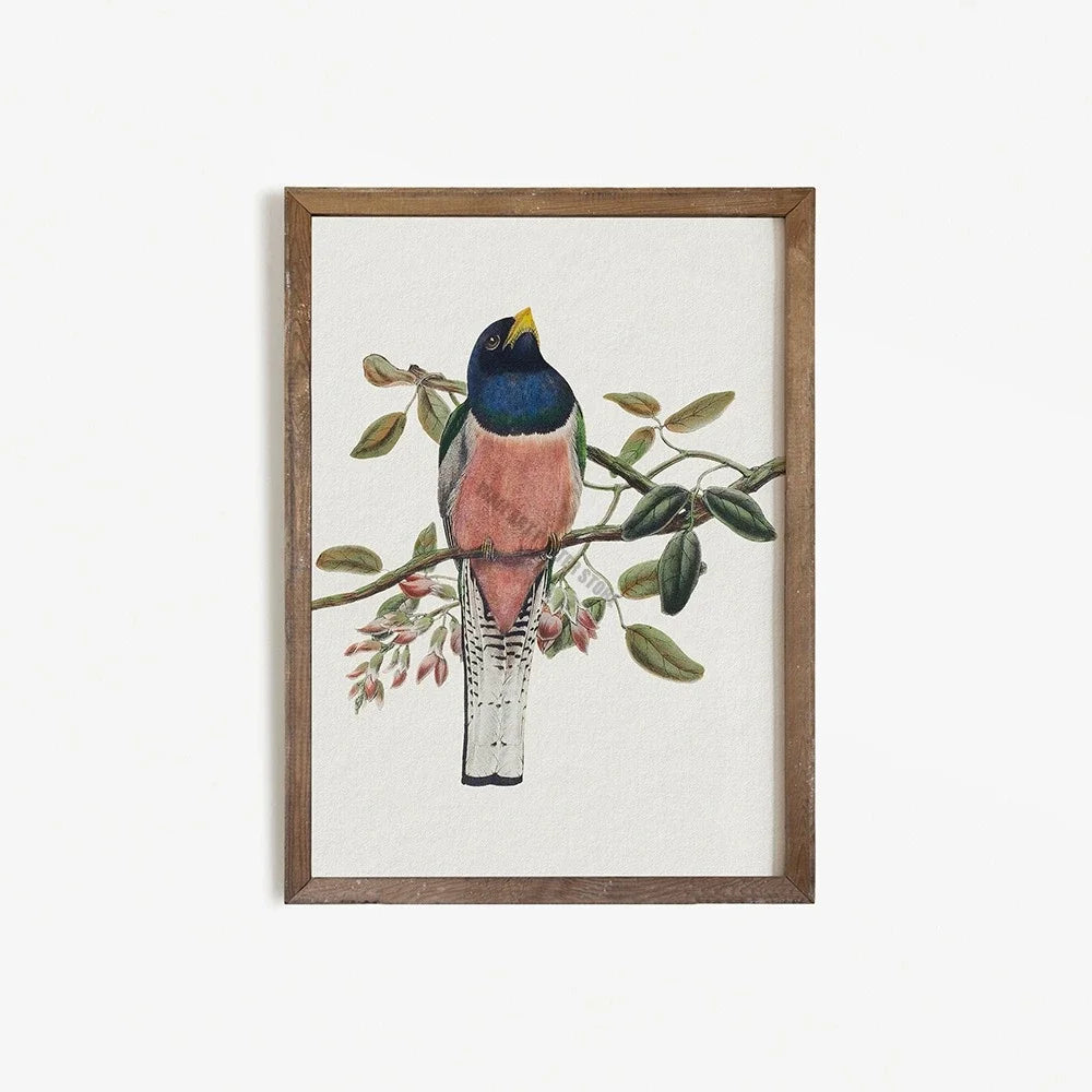 Vintage Bird Art Print - Canvas Poster