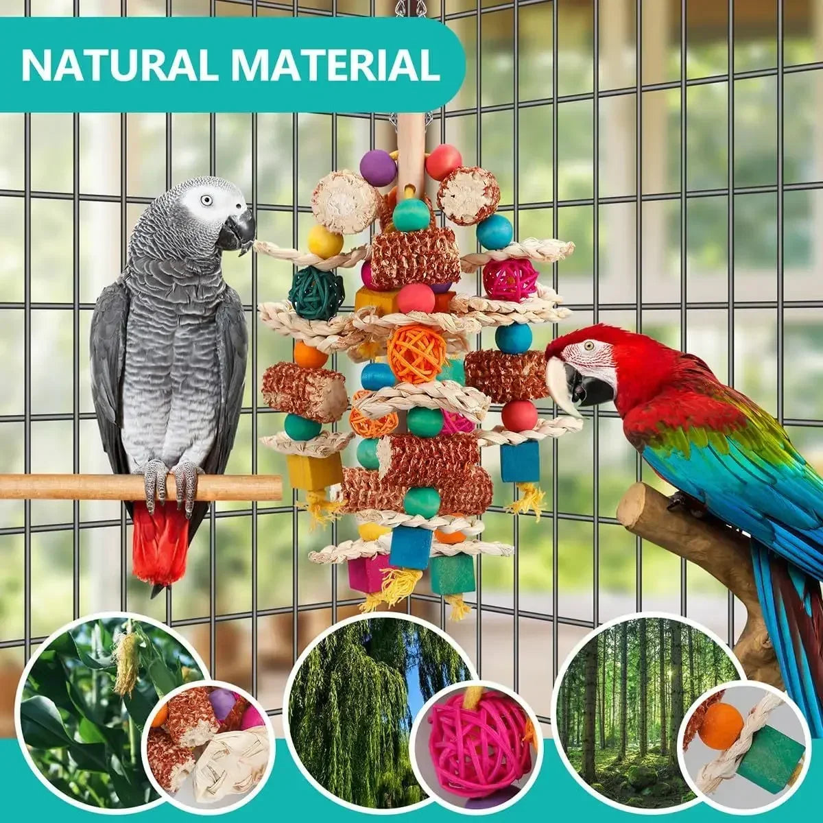 Colorful Hanging Molar Toy