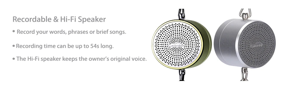 Interactive Talking Parrot Trainer