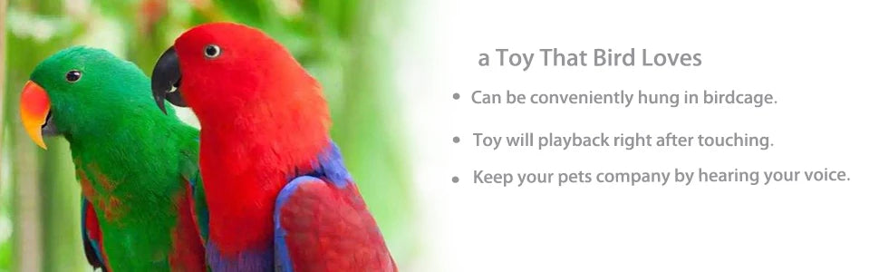 Interactive Talking Parrot Trainer