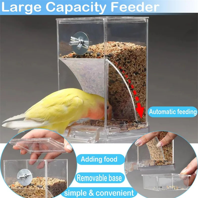 No-Mess Automatic Bird Feeder