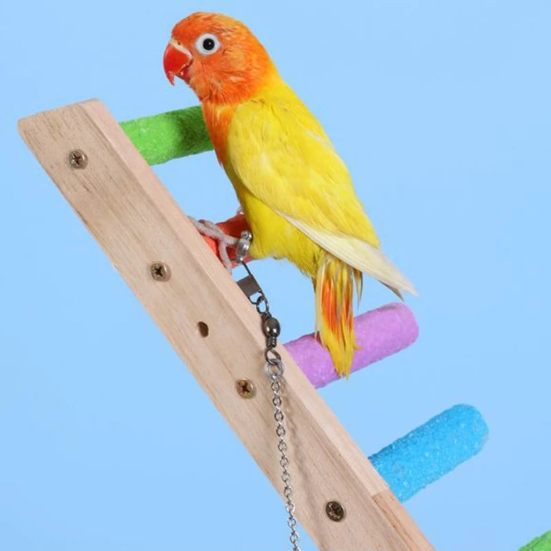 4/6 Steps Bird Climbing Ladder