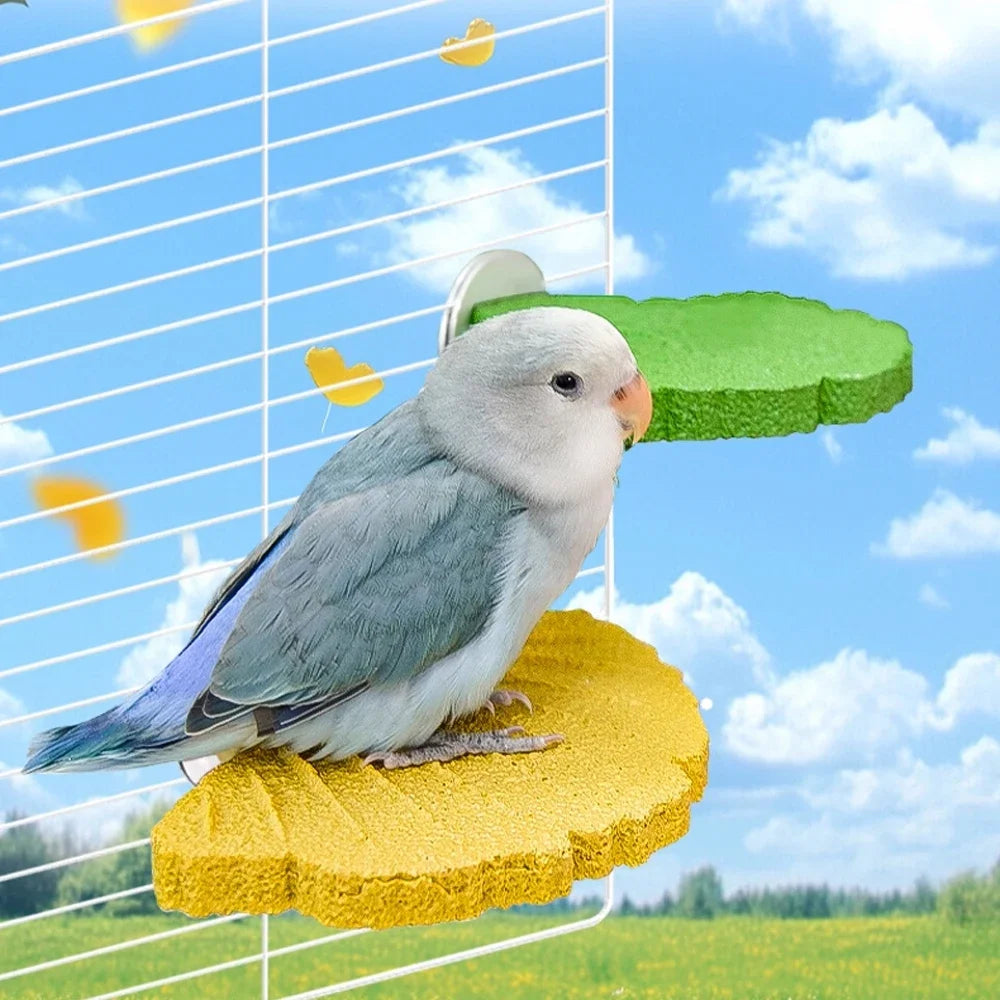Ginkgo Leaf Parrot Perch