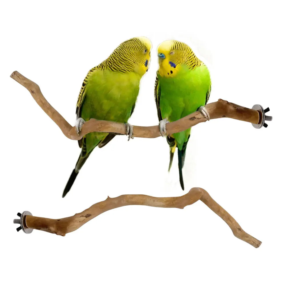 Natural Tree Branch Perch