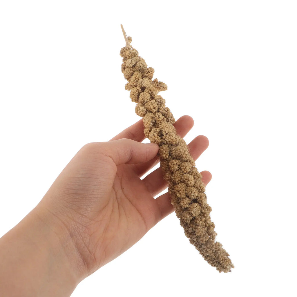 Natural Dried Millet Treat