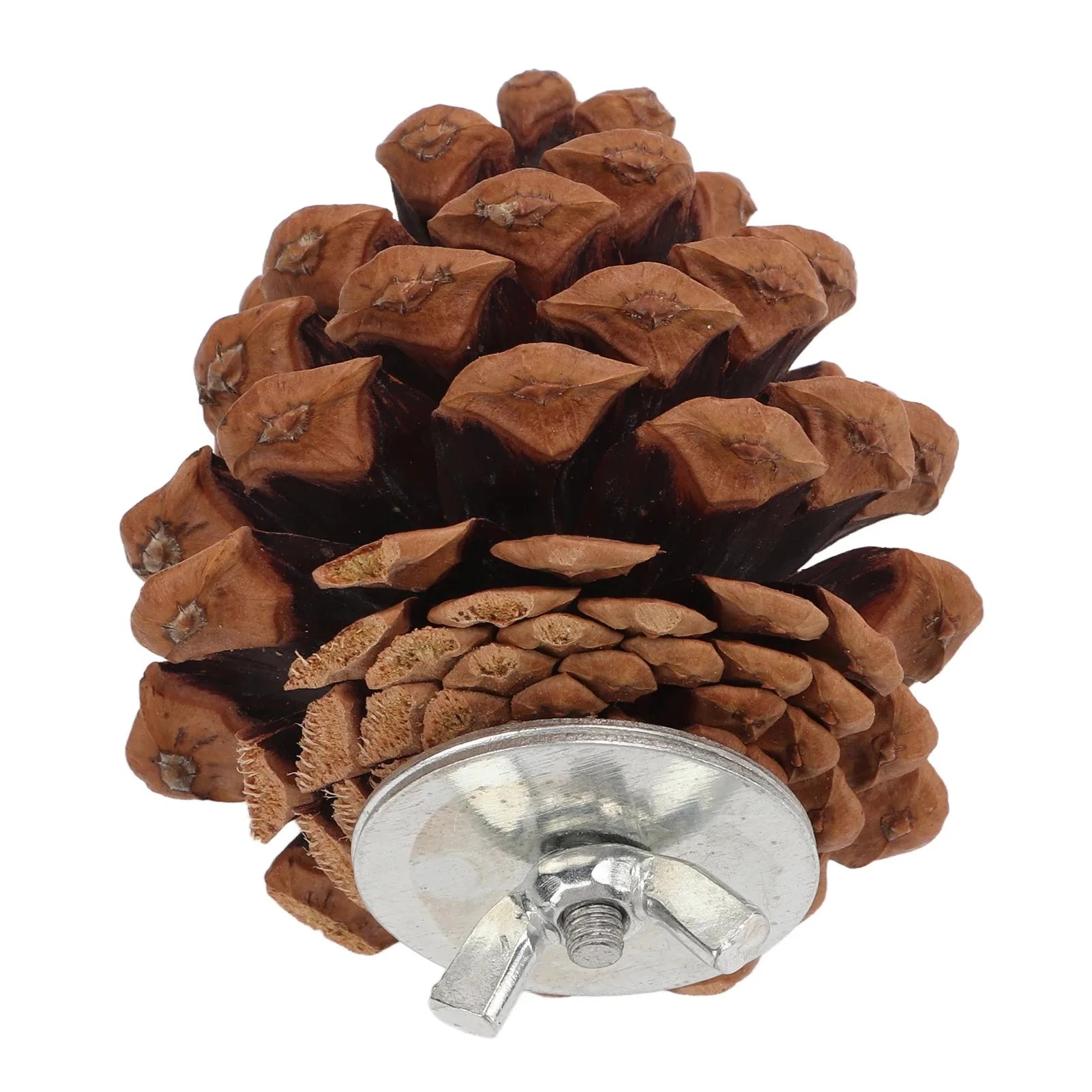 Natural Pinecone Bird Toy