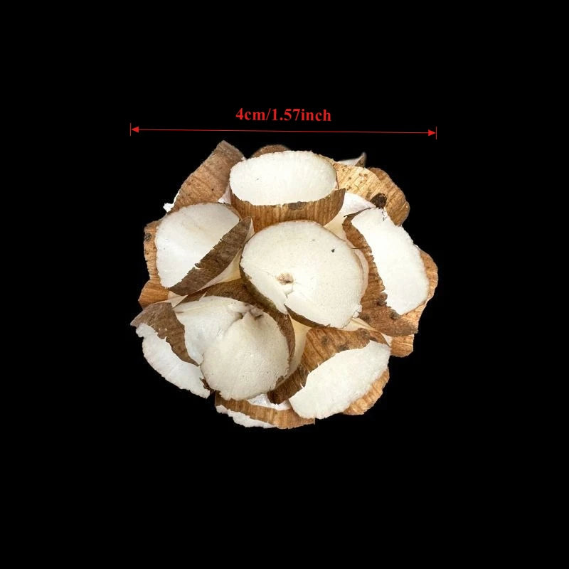 Sola Wood Foraging Ball Set for Parrots