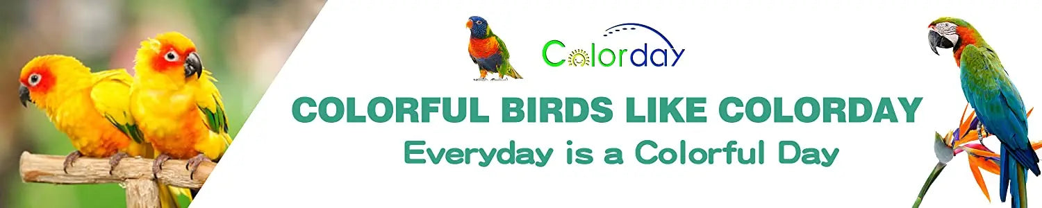 Interactive Talking Parrot Trainer