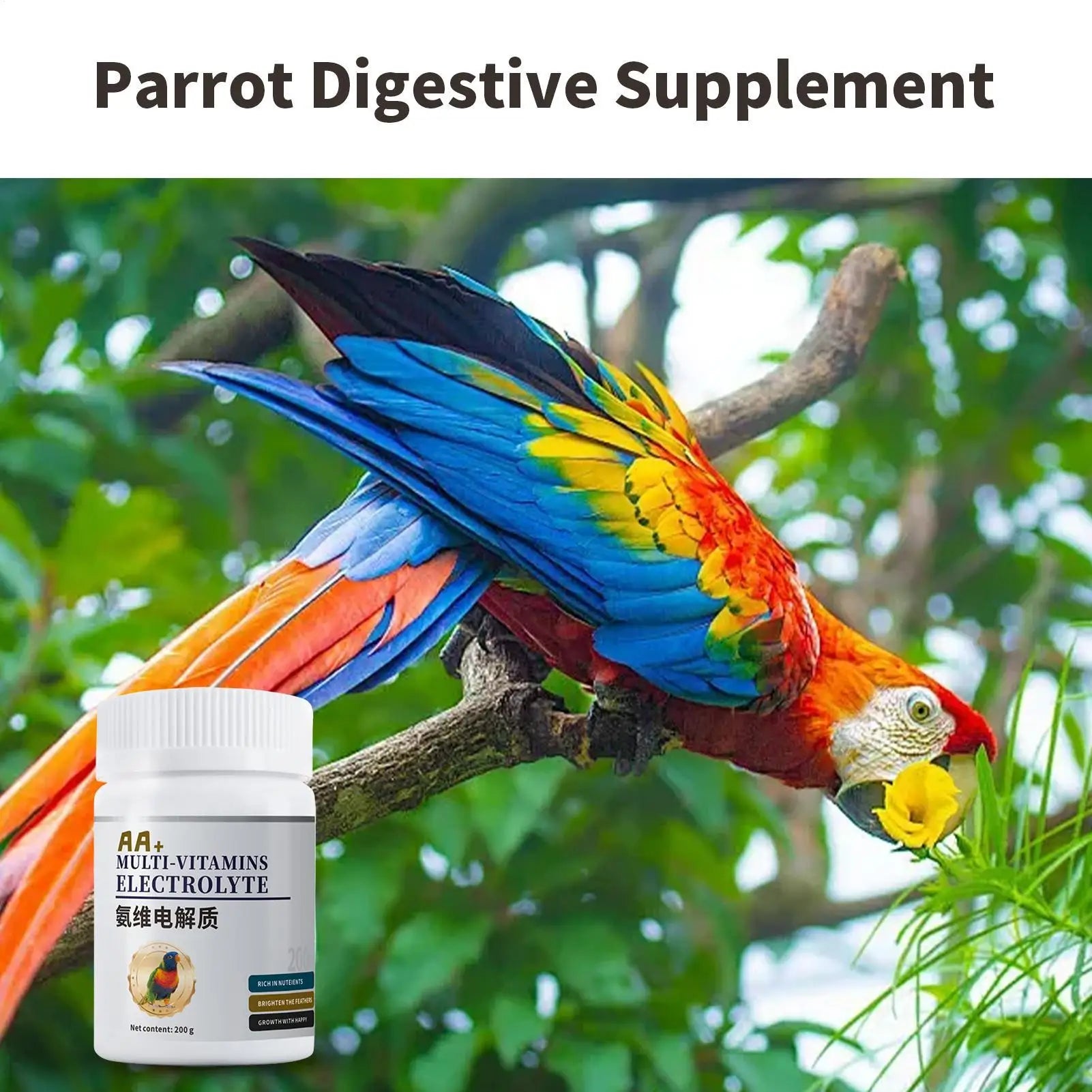 Bird Electrolyte & Probiotic Powder Supplement