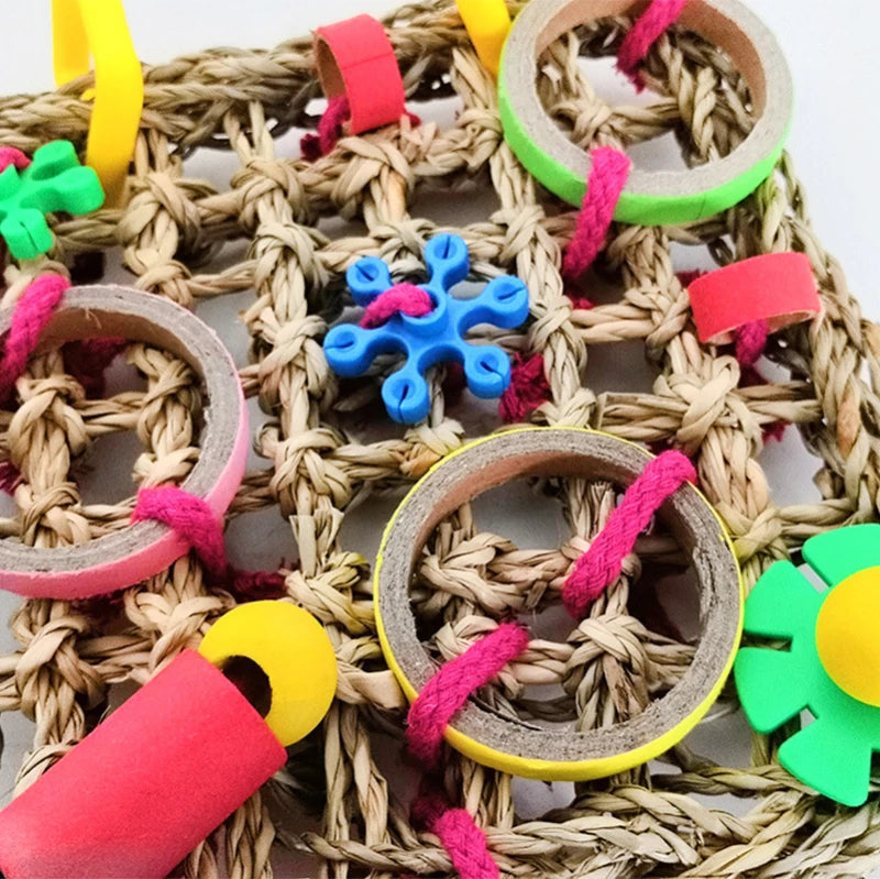 Bird Climbing Rope Swing Play Ladder