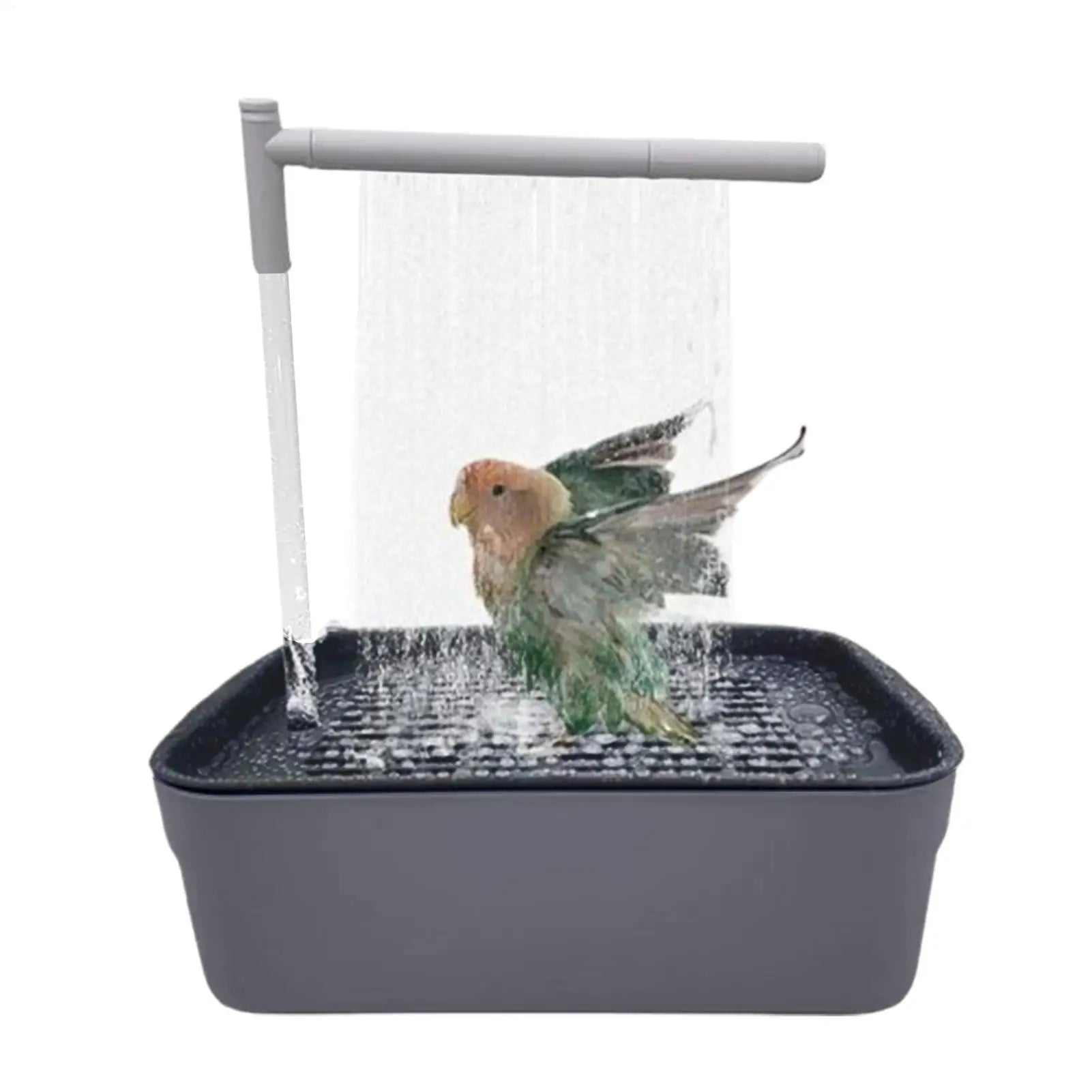 Rechargeable Parrot Shower Bath with Circulating Faucet