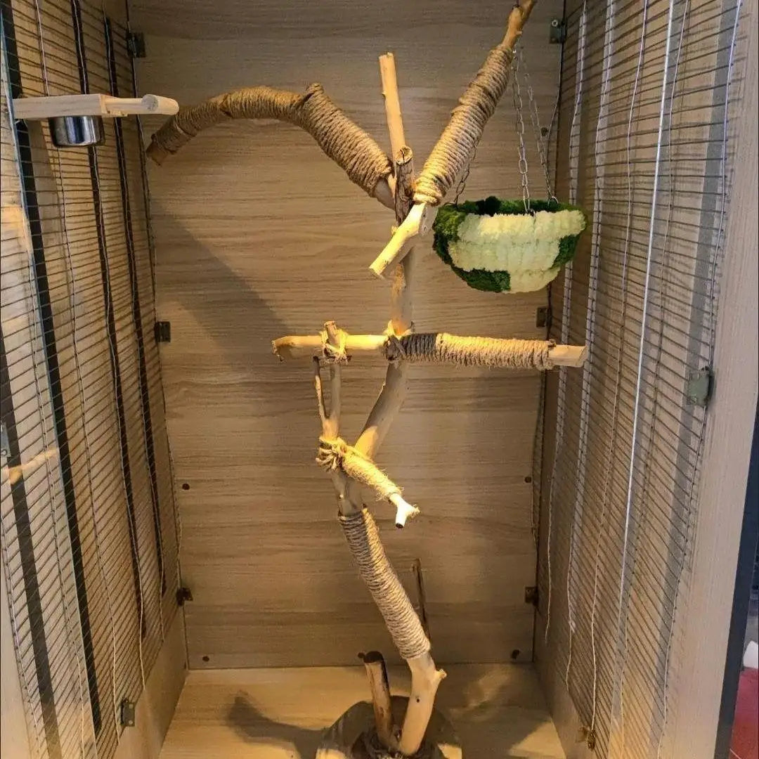 Wooden Parrot Branch Stand - Floor Mounted