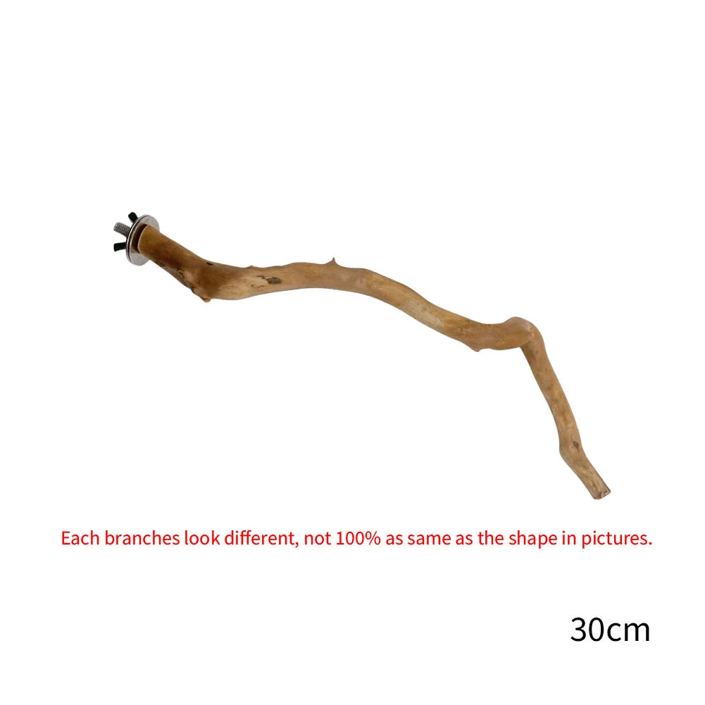 Natural Branch Standing Perch