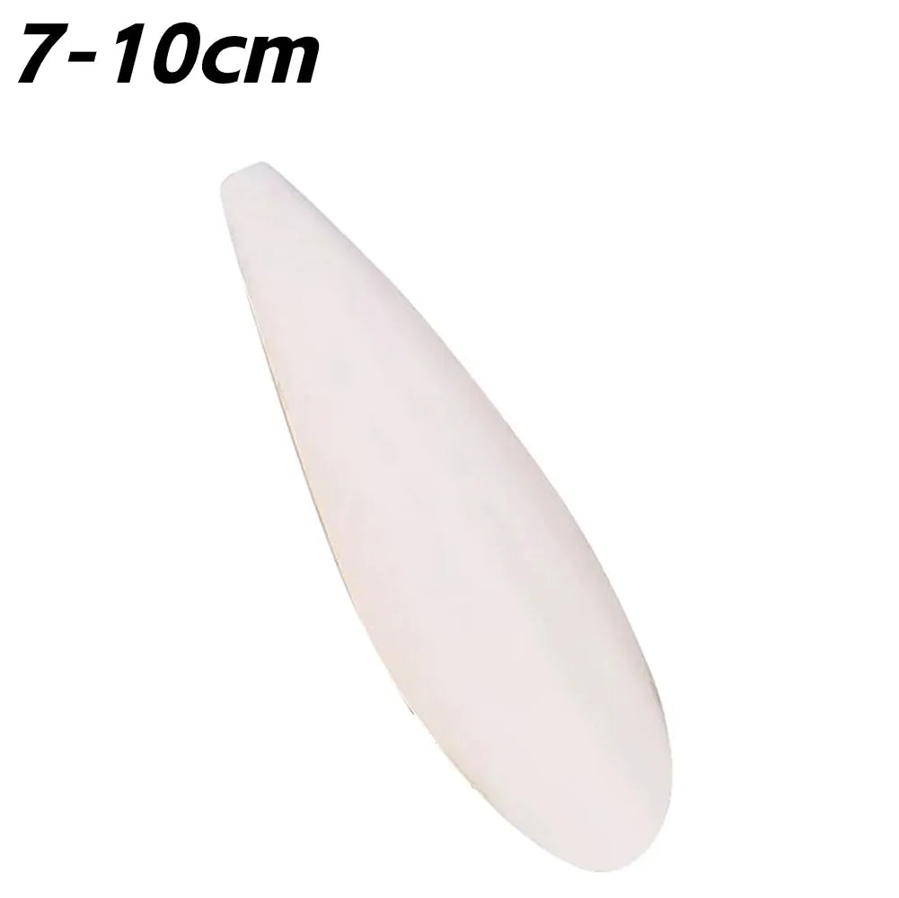 Cuttlefish Bone Calcium Supplement