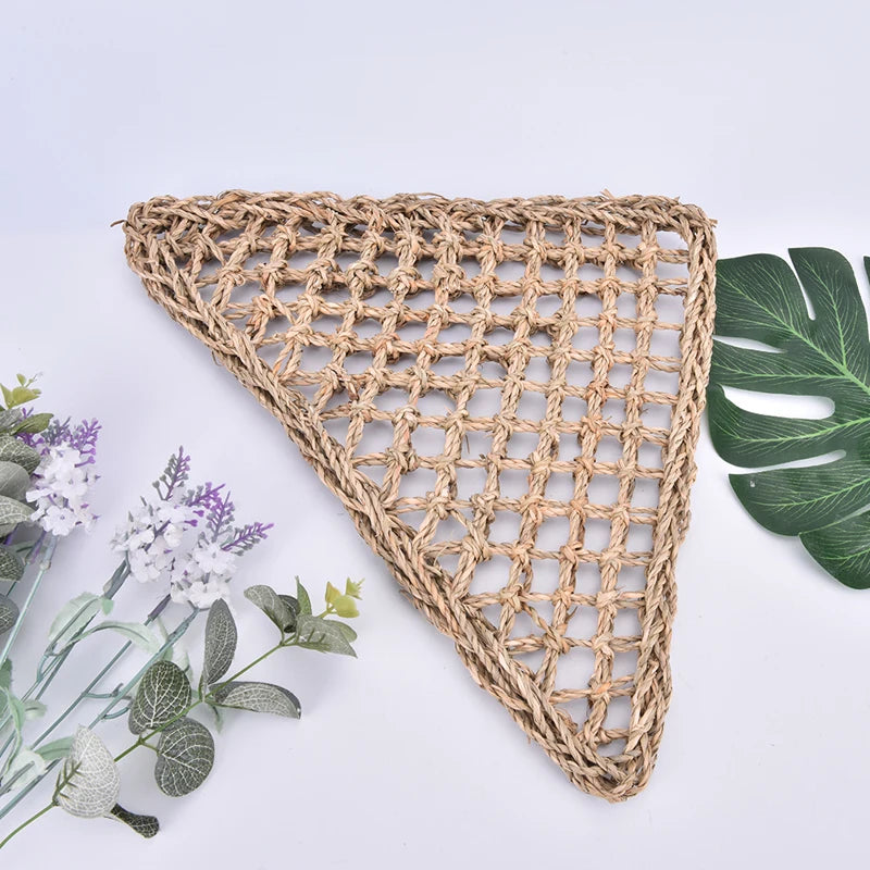 Seaweed Hammock & Climbing Mat