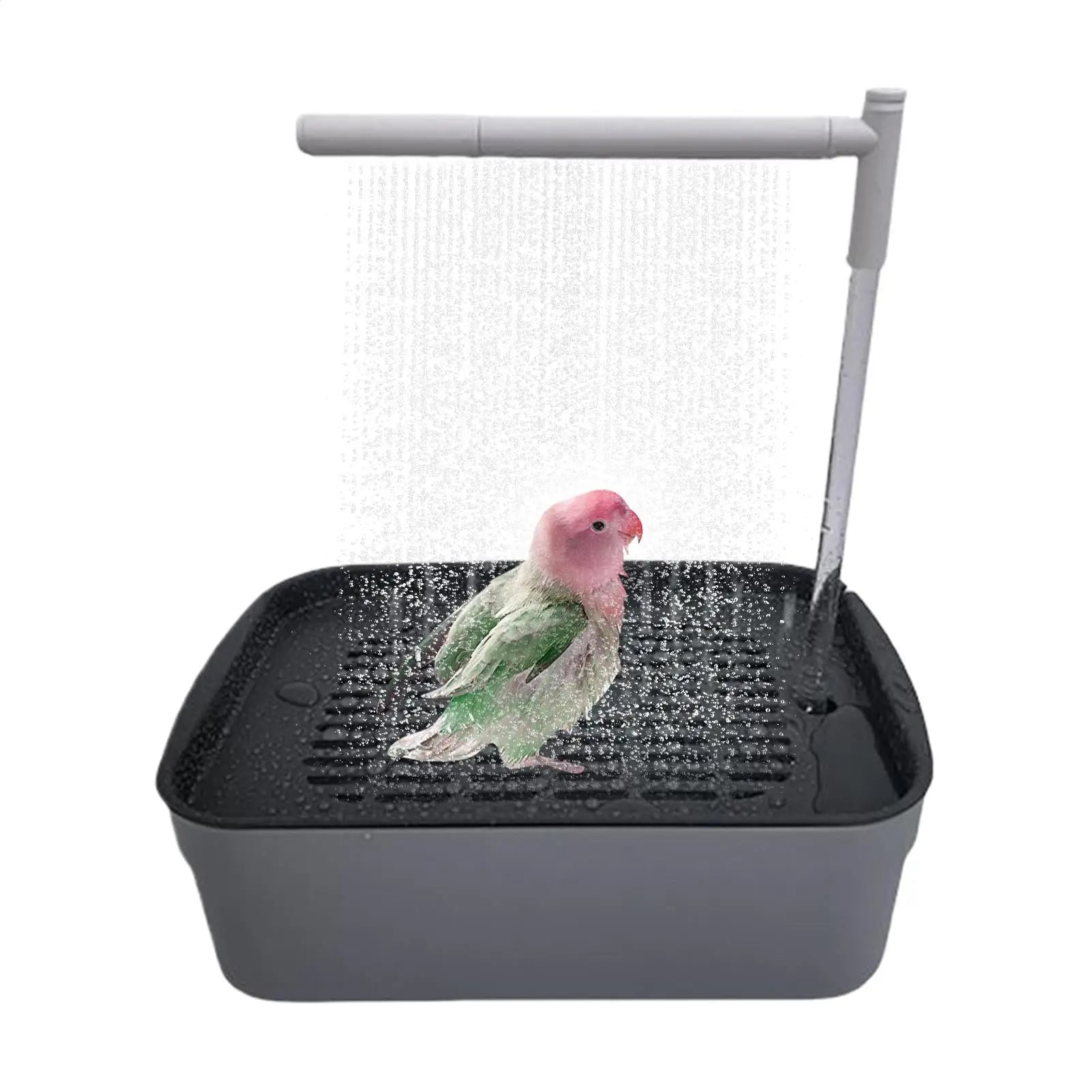 Rechargeable Parrot Shower Bath with Circulating Faucet
