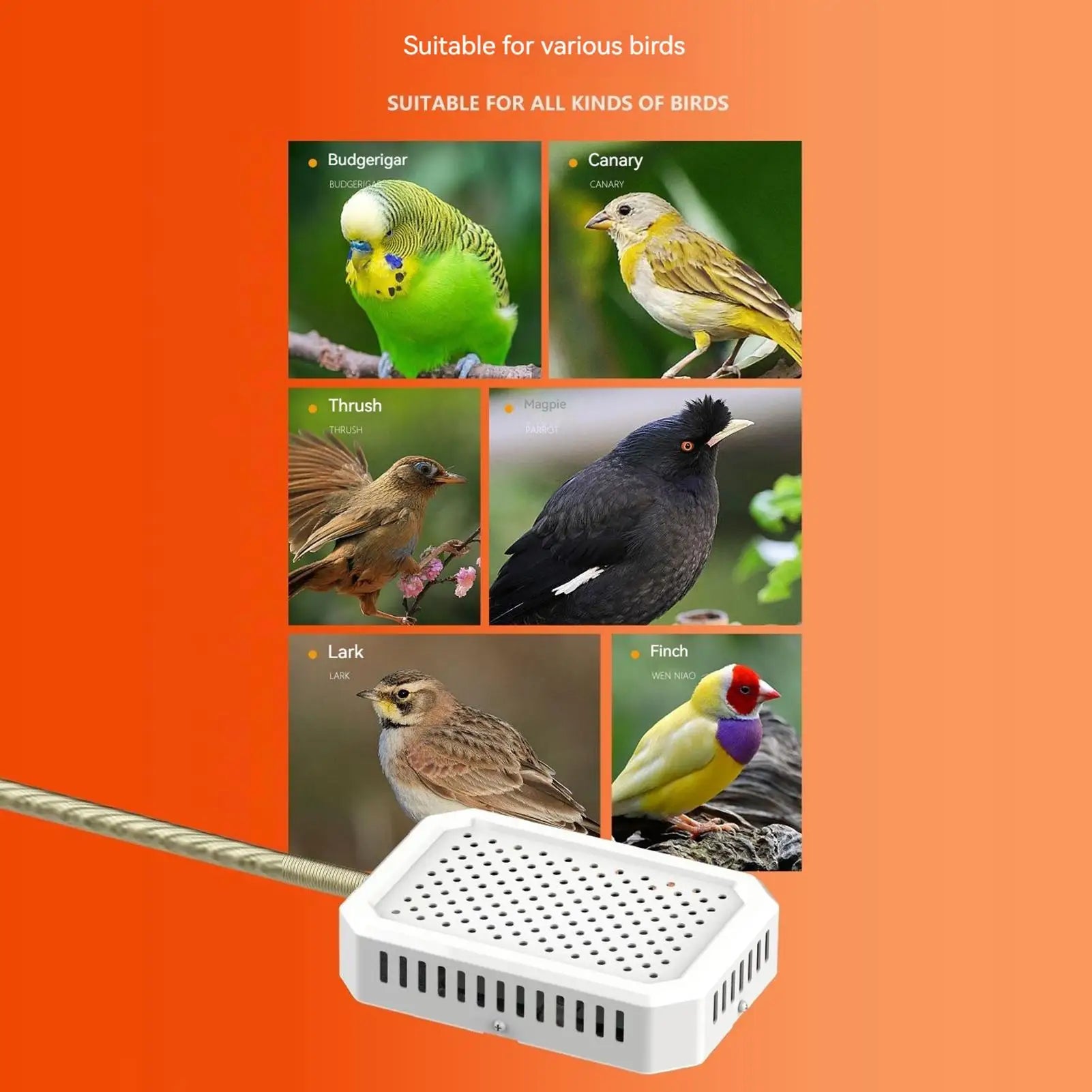 Bird Cage Heater