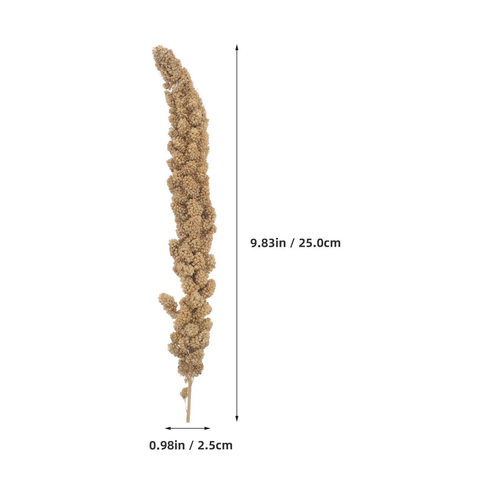 Natural Millet Spray - 500g