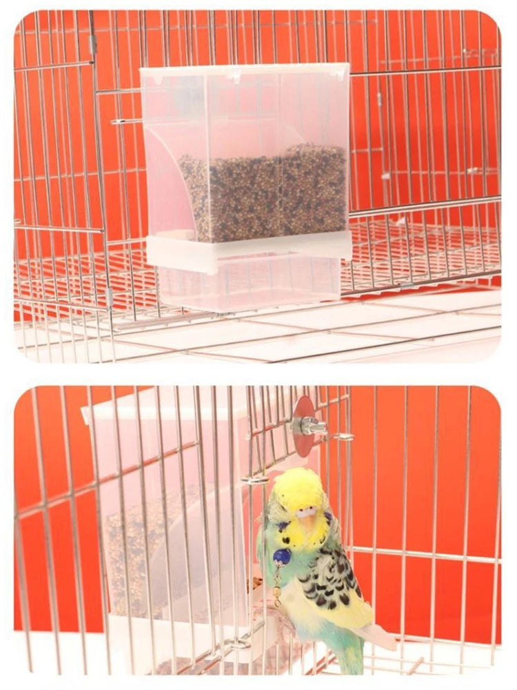 Anti-Spill Parrot Feeder - Clear Bird Food Dispenser