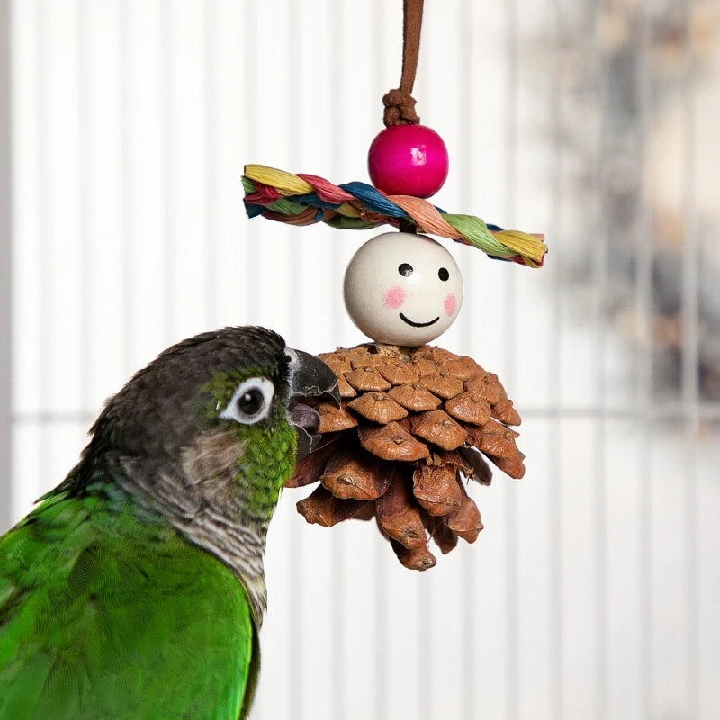 Natural Pinecone Bird Chew Toy
