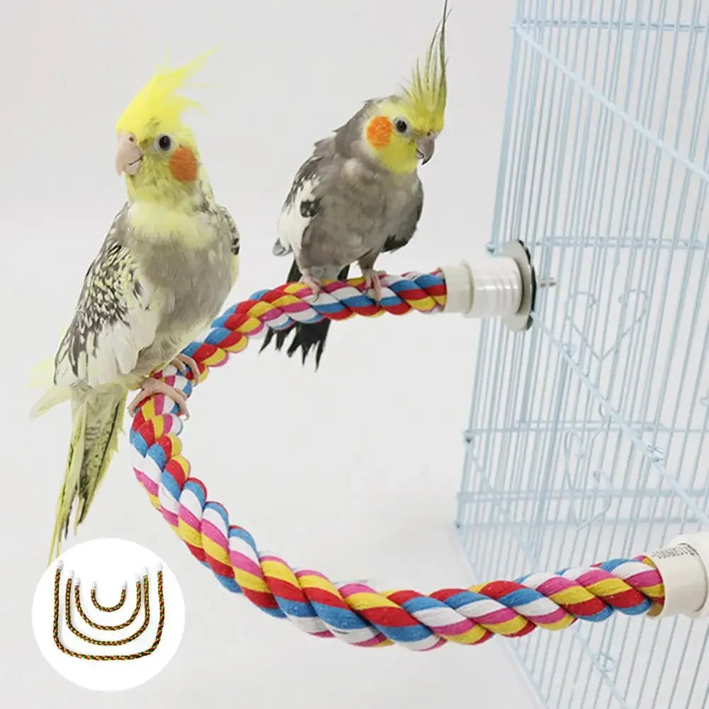 Colorful Rope Ladder Swing