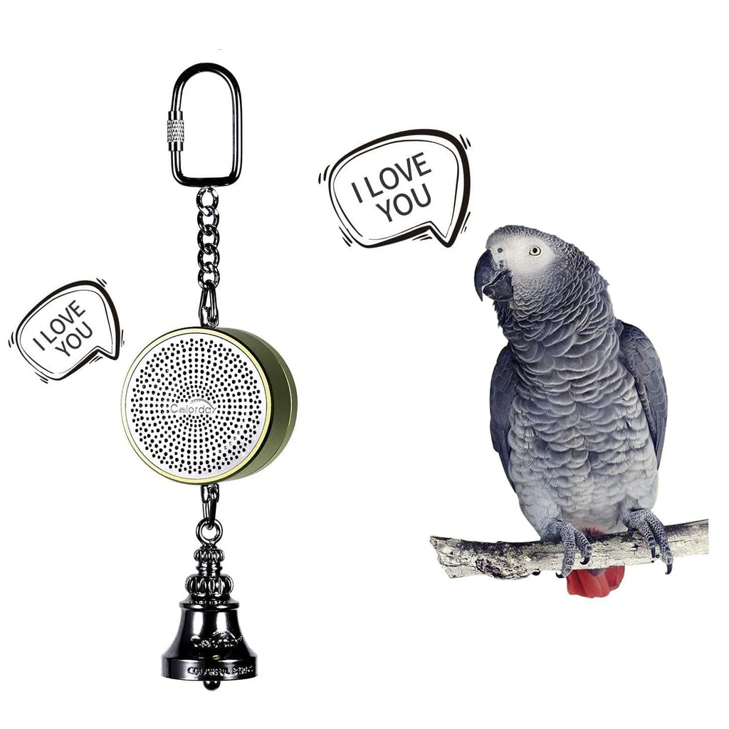 Interactive Talking Parrot Trainer