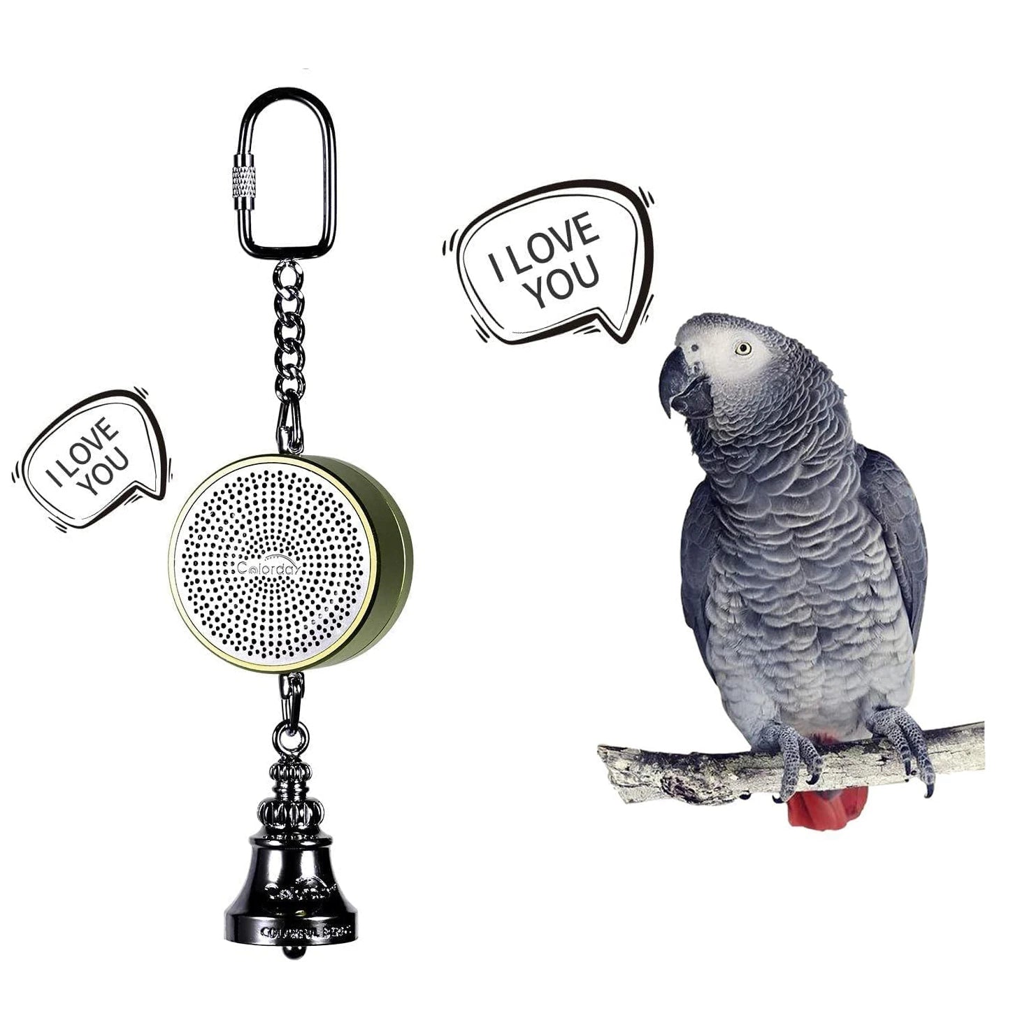 Interactive Talking Parrot Trainer