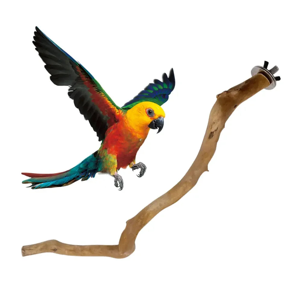 Natural Branch Standing Perch