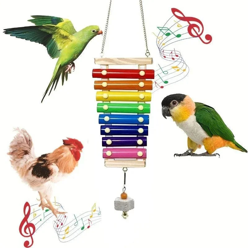 Colorful Bird Xylophone Toy for Parrots