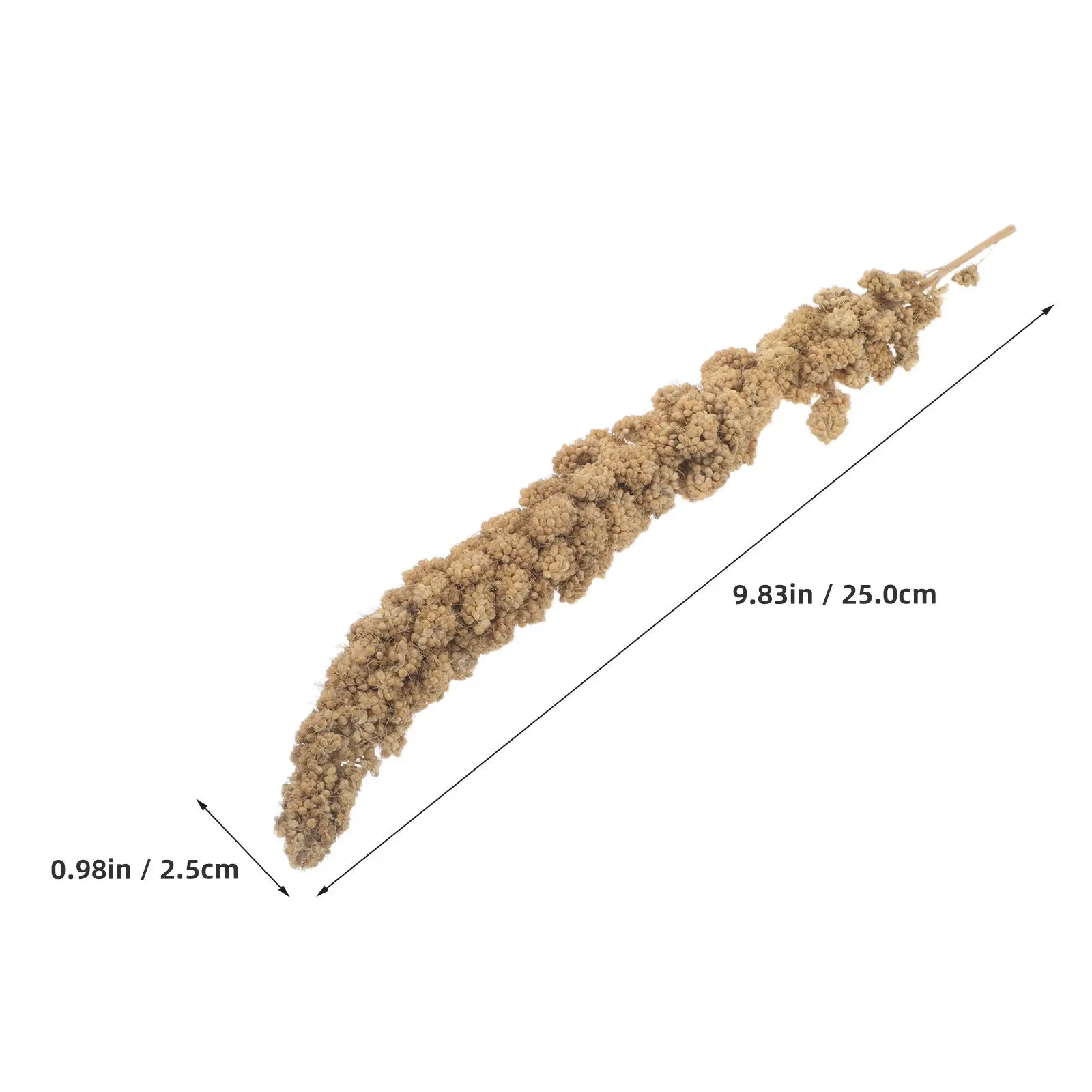 Natural Millet Spray - 500g