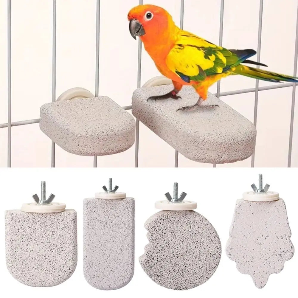 Non-Slip Parrot Standing Pole