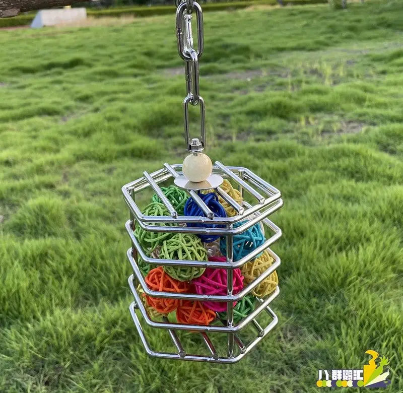 Stainless Steel Foraging Basket
