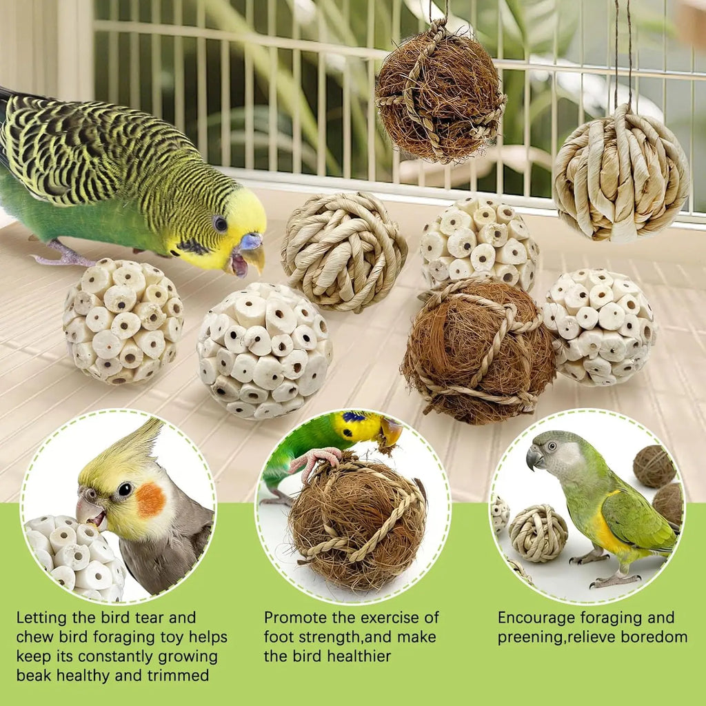 Sola Wood Foraging Ball Set for Parrots