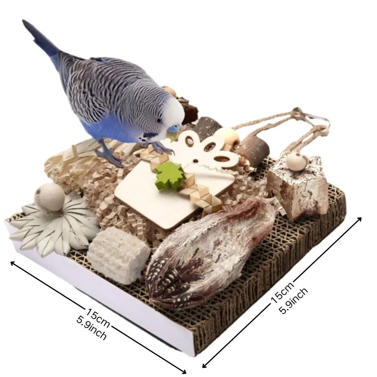 Cardboard Foraging Toy for Parrots & Parakeets