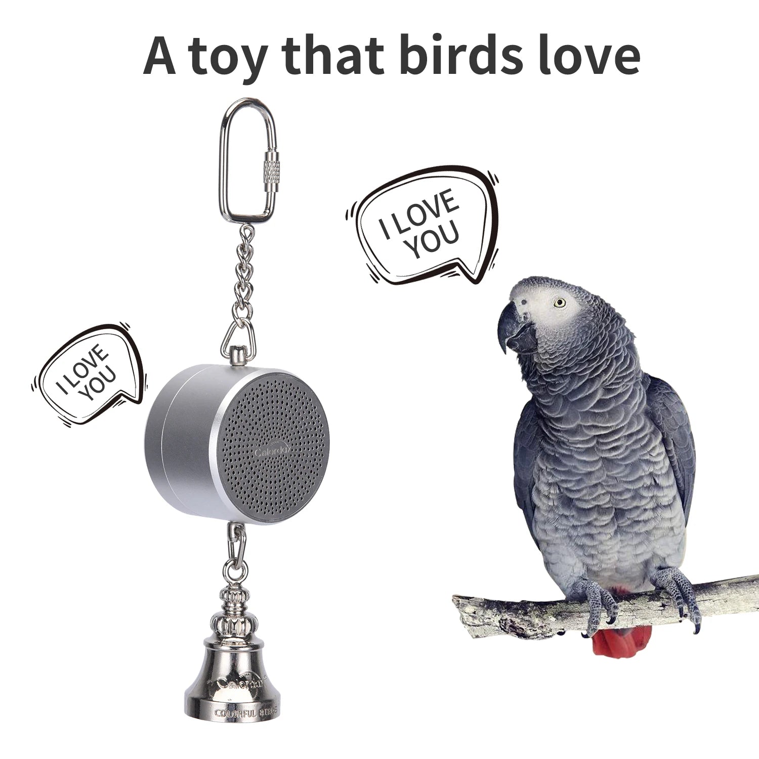 Interactive Talking Parrot Trainer