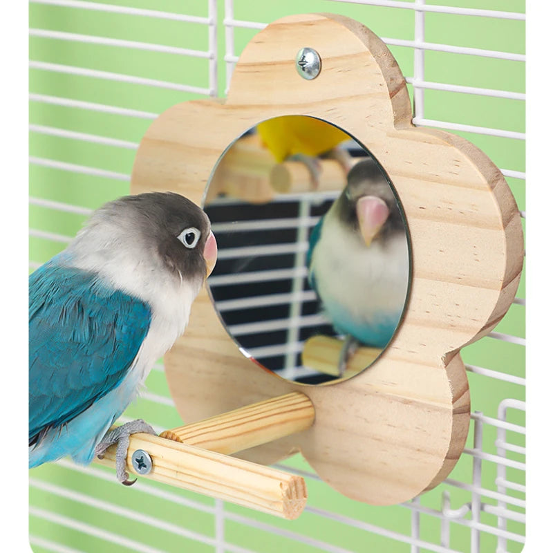 Wooden Mirror Interactive Toy with Perch
