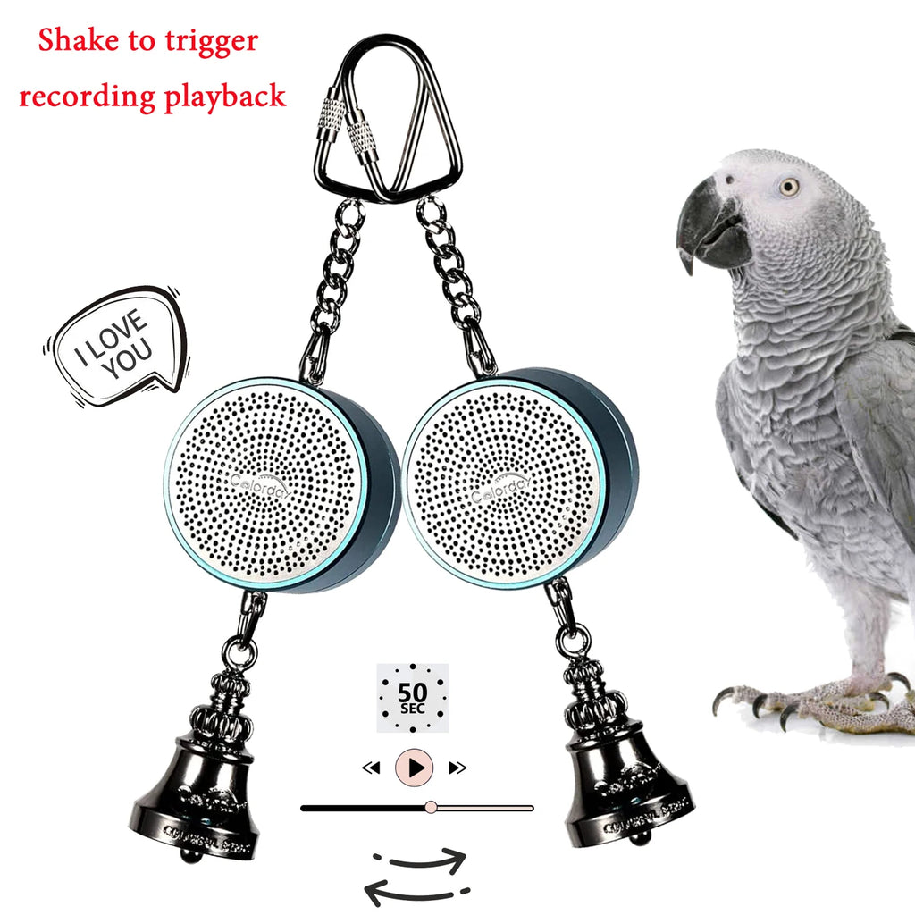 Interactive Talking Parrot Trainer