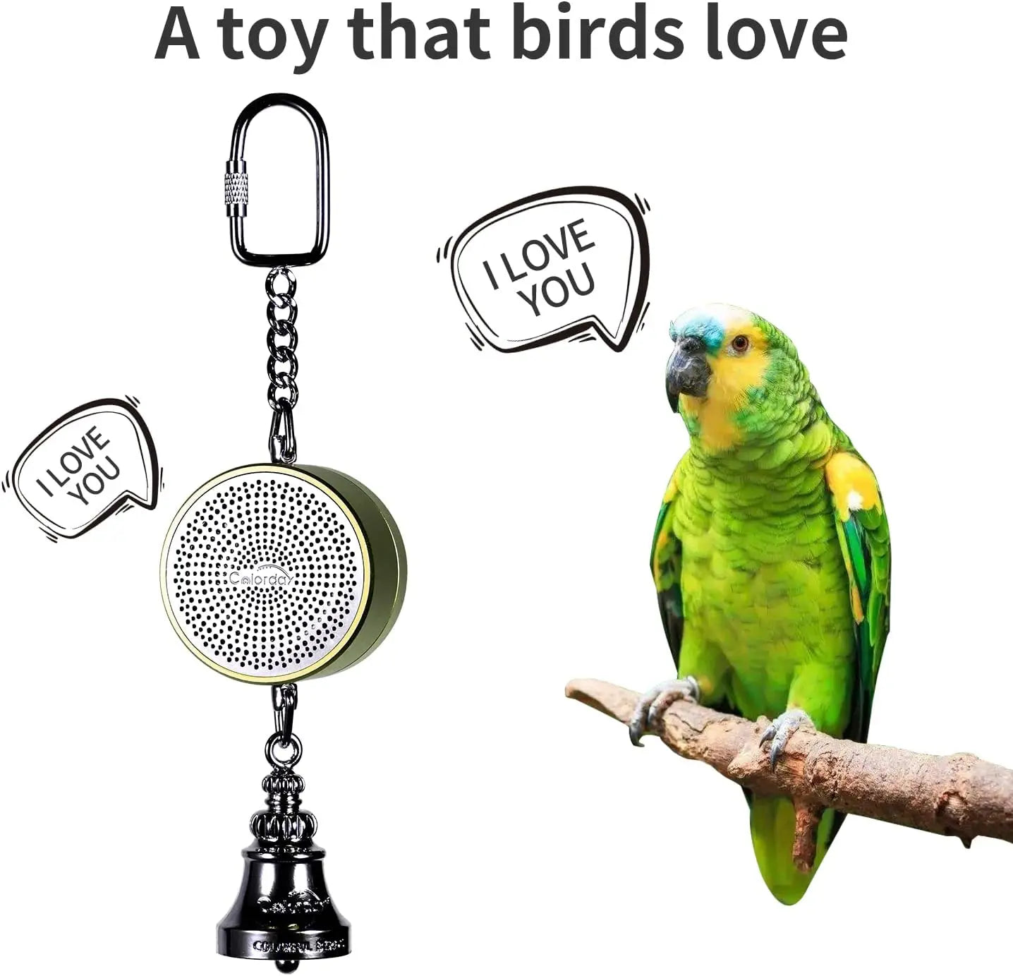 Interactive Talking Parrot Trainer