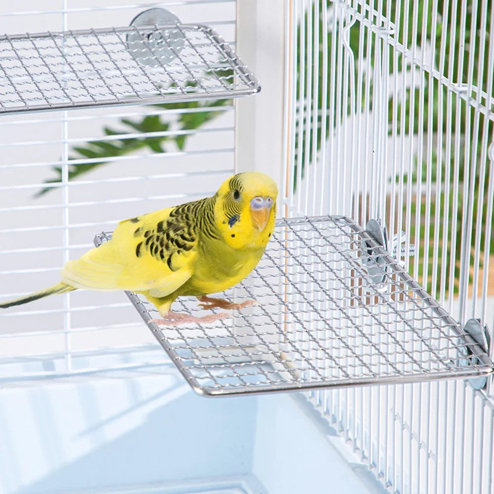 Stainless Steel Parrot Perch